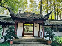 -上海醉白池公园