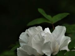 -中山公园