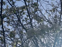 -熙古里艺术村