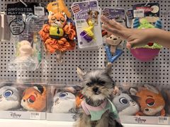 -BABIT巴比特宠物(MOMOPARK店)