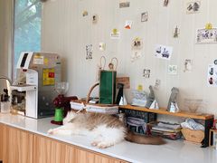 -灯塔咖啡馆BOOK·Coffee Shop