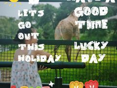 -沈阳森林动物园