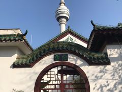 -龟山风景区-龟山电视塔