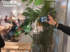 -喜茶(北京财富购物中心店)
