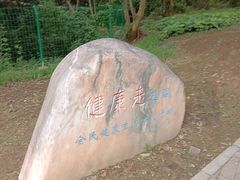 -青龙山国家森林公园