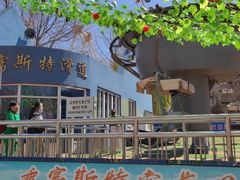 -富斯特索道
