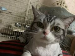 -多卡布奇宠物生活馆(上林世家店)