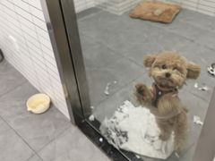 -阳澄湖费尔蒙酒店