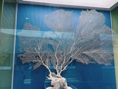 -中国湿地博物馆