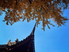 -惠山国家森林公园
