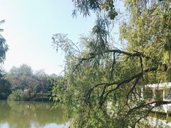 -人民公园(罗湖区)