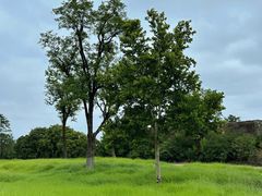 -汉长安城未央宫国家考古遗址公园