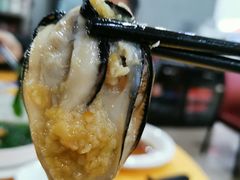生蚝-蚝专家(北滘店)