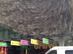 iphone_upload_pic-上海琉璃艺术博物馆