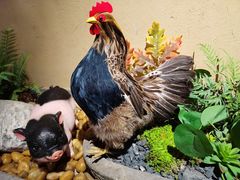 -老湘村·湖南土菜(天河维多利店)