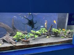 -沙沙哗啦海洋馆(华宇百花谷店)