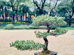 -申粤轩酒楼·三十年粤菜经典(丁香花园店)