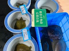 -邑家人·山水四合院