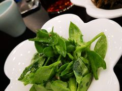 -惠丰堂饭庄(北洼路店)