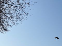 -东华门大街小区