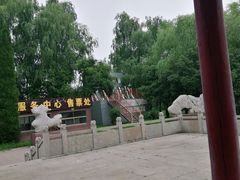 -微山湖红荷湿地景区