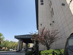 -西安唐隆国际酒店(大雁塔大唐不夜城店)
