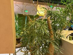 -山缓缓火锅(苏州仁恒仓街店)