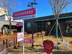 -阳坊胜利涮羊肉(阳坊老店)