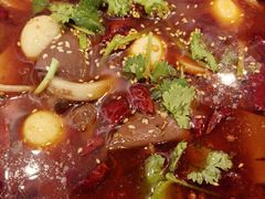 -蜀腾川·火锅鱼.烤鱼(新世界城店)