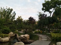 -唐城墙遗址公园
