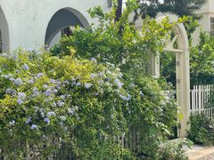 -柴油机1959创意园(IF1959文创园)