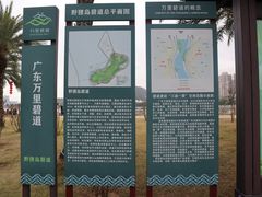 -野狸岛