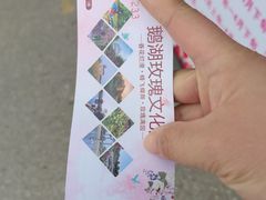 -鹅湖玫瑰文化园