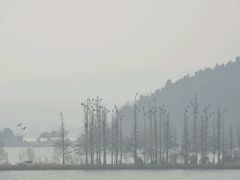 android_upload_pic-东湖落雁景区