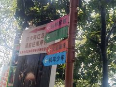 -南山植物园