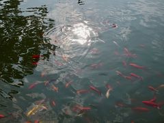 -西安华清御汤酒店