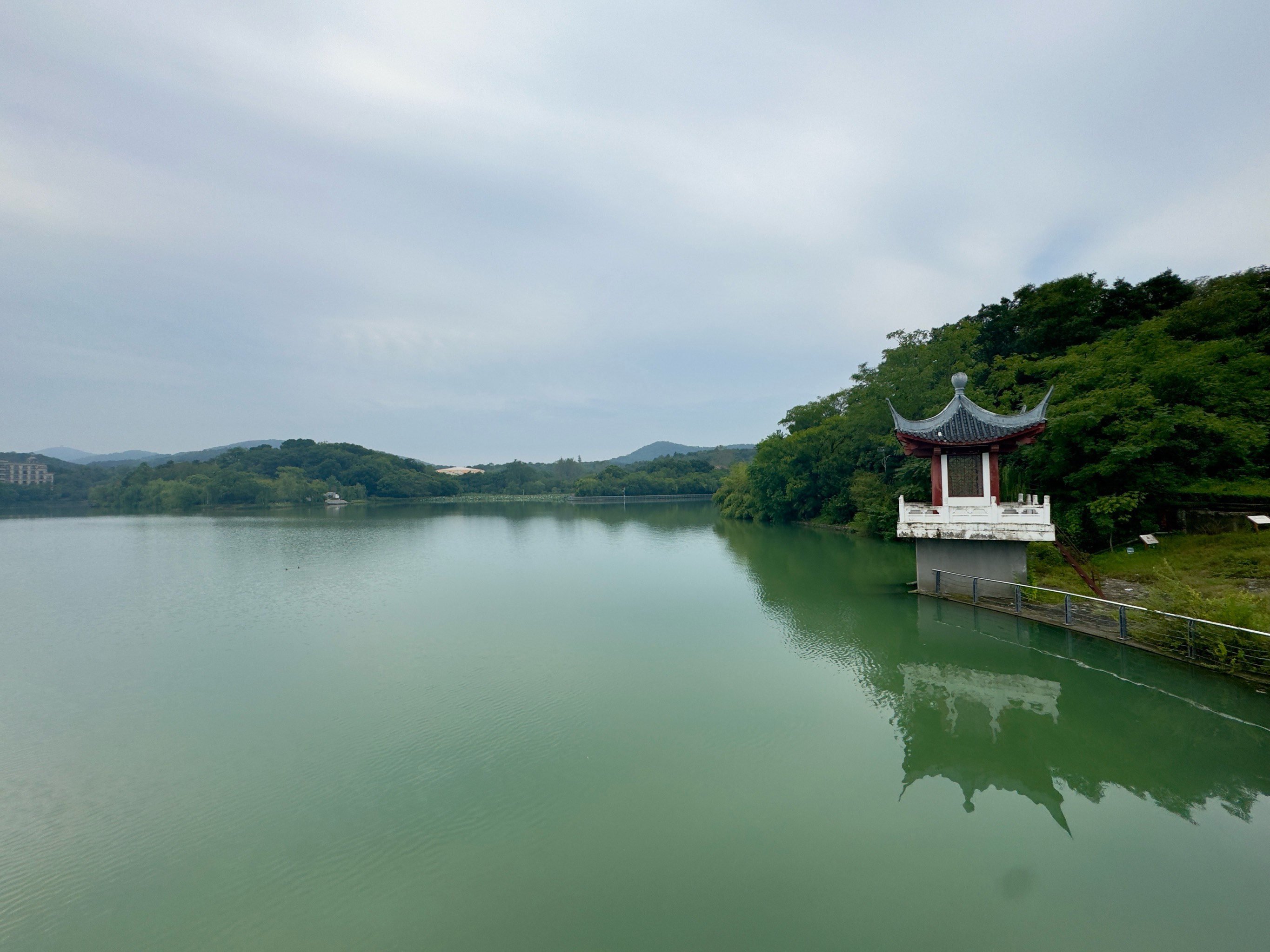 高州湖光山色图片