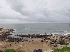 -广东惠东海龟国家级自然保护区