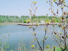 -东郊湿地公园