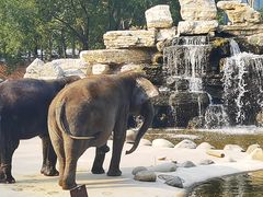 -北京野生动物园