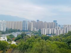 -金鸡山公园