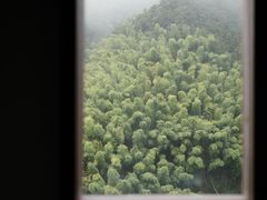 -杨家堂村