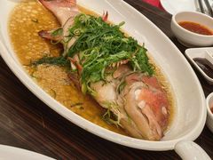 -半岛渔港 • 阿翁火锅馆(将军澳广场店)