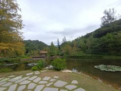 -云溪植物园