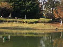 景点-白塘生态植物园