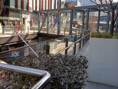 -赵小姐丨新中餐(曲江店)
