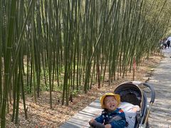 -竹泉村旅游度假区
