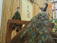 -大理董·董家小厨野生菌火锅(古城旗舰店)