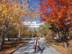 -吉林大学(前卫南区)