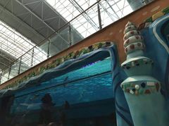-望儿山温泉水乐园